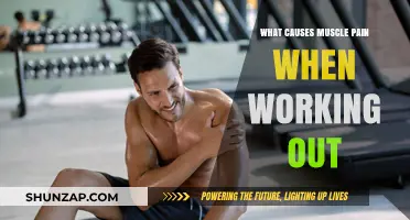 Understanding Muscle Pain: Causes and Prevention During Workouts