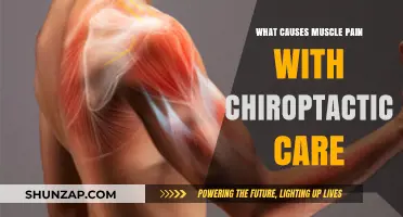 Understanding Muscle Pain Causes in Chiropractic Care: A Comprehensive Guide