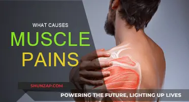 Muscle Pain: Understanding the Root Cause