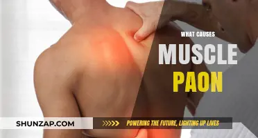 Understanding Muscle Pain: Common Causes and Effective Relief Strategies