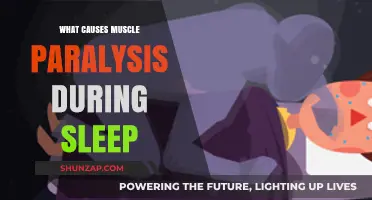 Understanding Sleep Paralysis: Causes of Muscle Paralysis During Sleep Explained