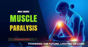 Understanding Muscle Paralysis: Causes, Mechanisms, and Underlying Factors Explained