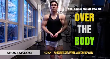 Understanding Full-Body Muscle Pulls: Causes and Prevention Strategies
