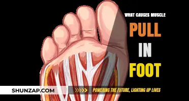 Understanding Foot Muscle Pulls: Causes, Prevention, and Quick Relief Tips