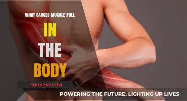 Understanding Muscle Pulls: Causes and Prevention in the Body