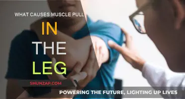 Understanding Leg Muscle Pulls: Causes and Prevention