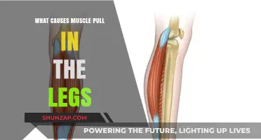 Understanding Leg Muscle Pulls: Causes and Prevention Tips