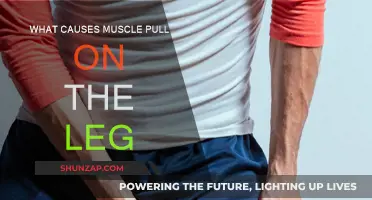 Understanding Leg Muscle Pulls: Causes and Prevention