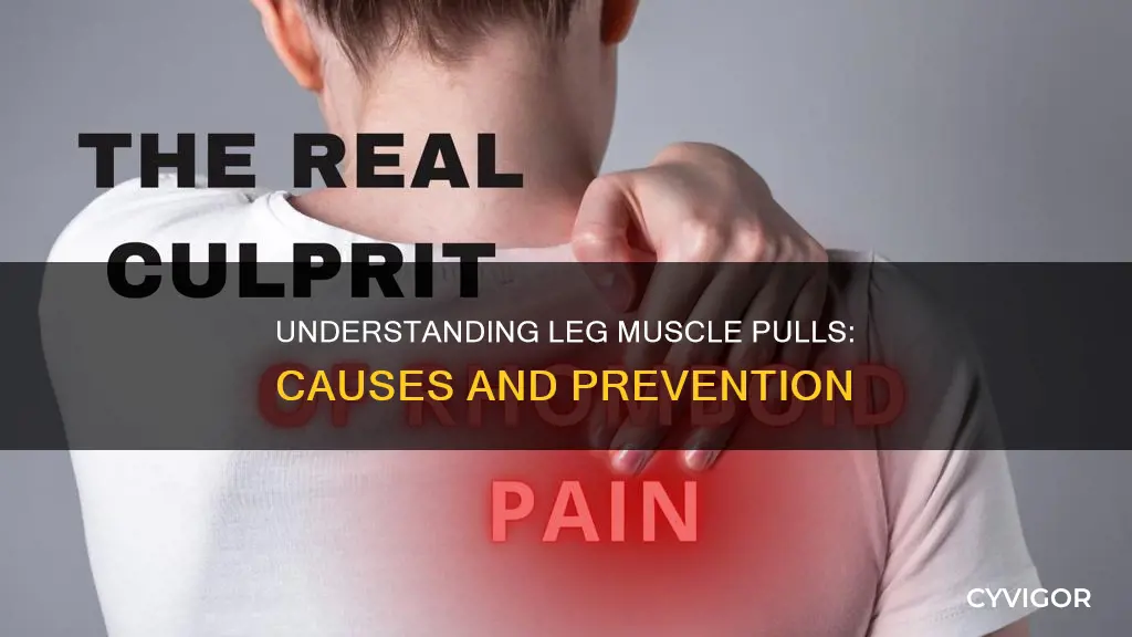 what causes muscle pull on the leg