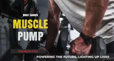 Unveiling the Science Behind Muscle Pump: Causes and Mechanisms