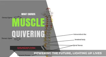 Understanding Muscle Quivering: Causes, Triggers, and When to Seek Help