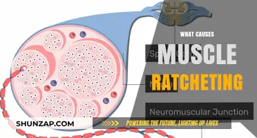 Understanding Muscle Shakes: Causes, Triggers, And Effective Remedies ...