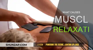 How Muscle Relaxation Works: Unlocking the Science