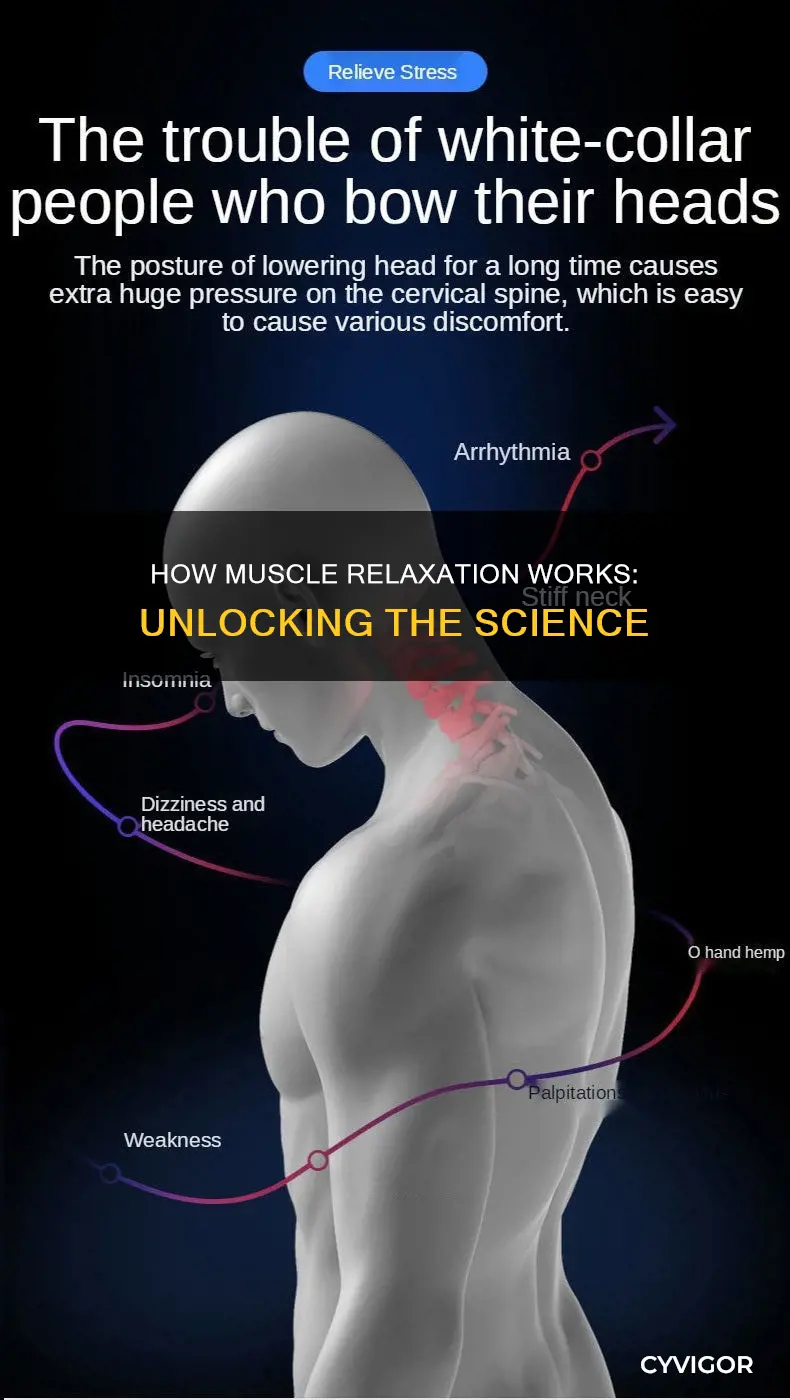 what causes muscle relaxation