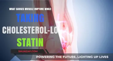 Statin Use and Muscle Rupture: Uncovering the Potential Causes