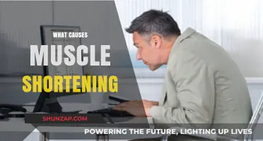 Understanding Muscle Shortening: Causes, Mechanisms, and Prevention Strategies