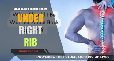 Understanding Muscle Spasms Under the Right Rib: Causes and Relief