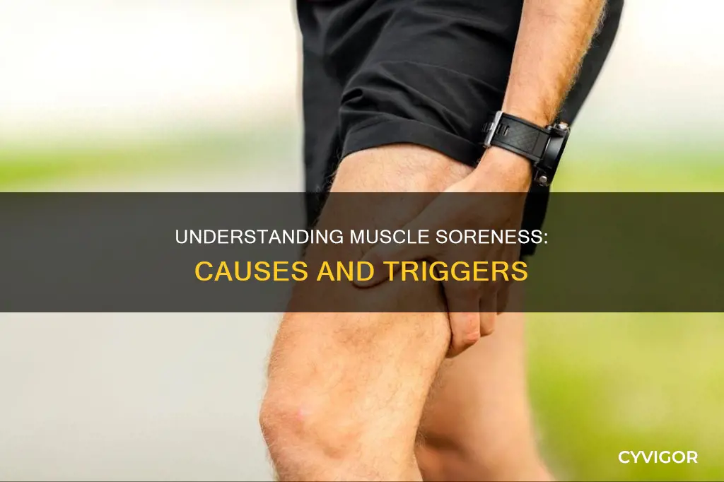 what causes muscle sorenes