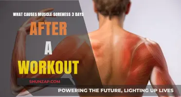 Delayed Muscle Soreness: Unraveling the Mystery of 3-Day Post-Workout Pain