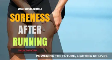 Why Muscles Ache After Running: Unraveling Post-Run Soreness Causes