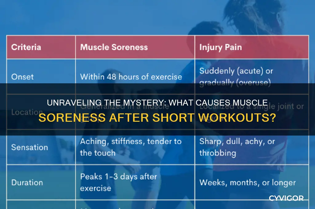 what causes muscle soreness after sho