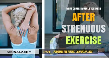 Understanding Delayed Onset Muscle Soreness: Causes and Recovery Tips