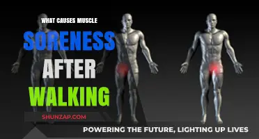 Why Muscles Ache After Walking: Unraveling Post-Walk Soreness Causes