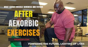 Why Muscles Ache and Tire Post-Aerobic Workouts: Unraveling the Science