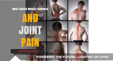 Understanding Muscle Soreness and Joint Pain: Causes and Remedies