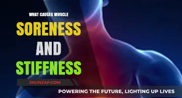 Understanding Muscle Soreness and Stiffness: Causes and Prevention Tips