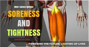 Understanding Muscle Soreness and Tightness: Causes and Effective Remedies