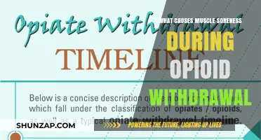 Understanding Muscle Soreness During Opioid Withdrawal: Causes and Relief