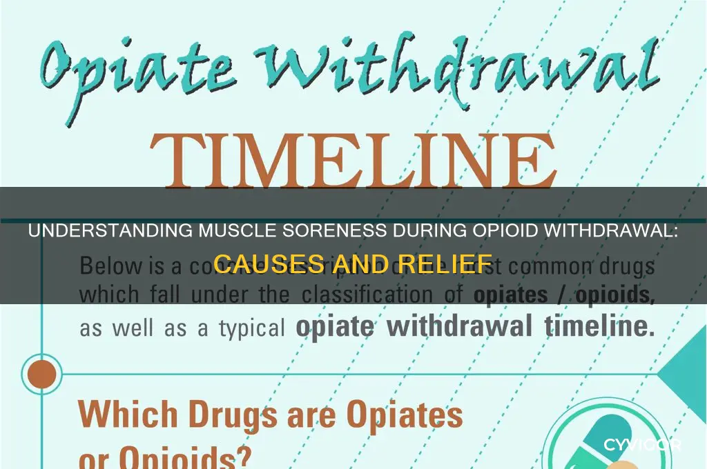 what causes muscle soreness during opioid withdrawal