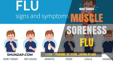 Understanding Muscle Soreness Flu: Causes, Symptoms, and Effective Remedies