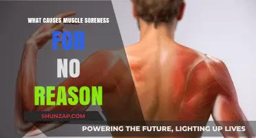 Unexplained Muscle Soreness: Causes and Solutions for Sudden Discomfort