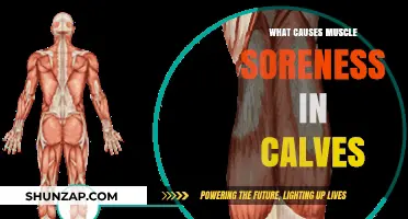 Understanding Calf Muscle Soreness: Causes and Effective Relief Strategies