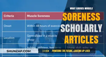 Understanding Muscle Soreness: Causes Explained in Scholarly Research