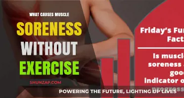 Unraveling the Mystery: Why Muscles Ache Without Physical Activity