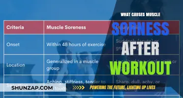 Understanding Post-Workout Muscle Soreness: Causes and Remedies Explained