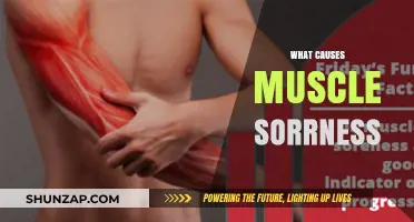 Understanding Muscle Soreness: Causes, Prevention, and Effective Recovery Strategies