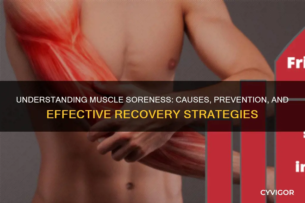 what causes muscle sorrness