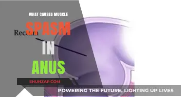 Understanding Anus Muscle Spasms: Causes and Effective Relief Strategies