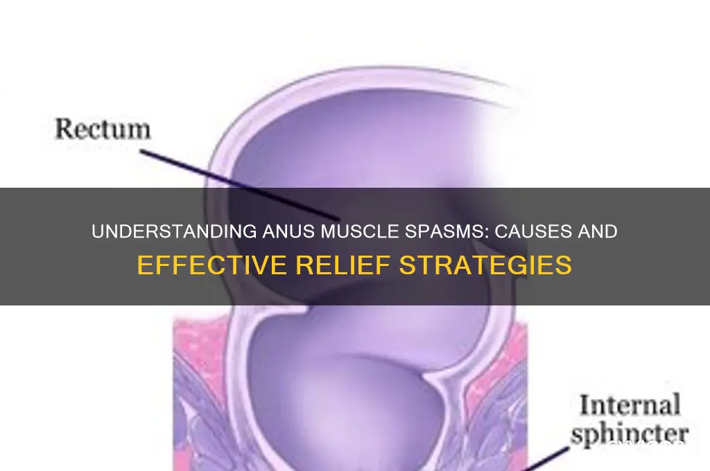 what causes muscle spasm in anus