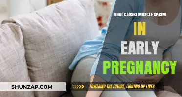 Early Pregnancy Muscle Spasms: Causes and Relief Explained