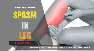 Understanding Leg Muscle Spasms: Common Causes and Prevention Tips