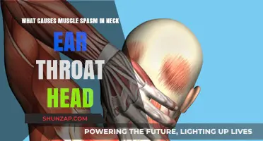 Neck, Ear, Throat, Head Muscle Spasms: Causes and Triggers Explained