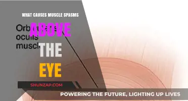 Understanding Eye Twitching: Causes of Muscle Spasms Above the Eye