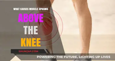 Understanding Muscle Spasms Above the Knee: Causes and Triggers