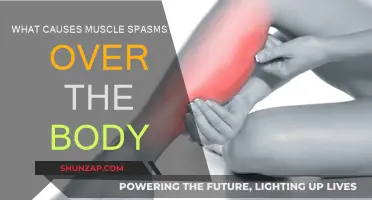 Muscle Spasms: Understanding the Root Cause of Full-Body Twitches