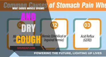 Muscle Spasms and Dry Cough: Uncovering the Hidden Causes